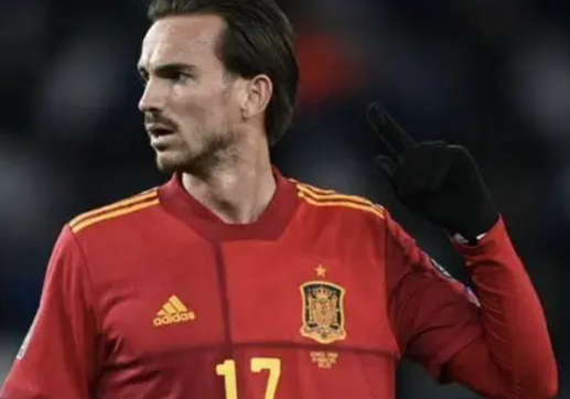 西班牙世预赛前夕：法比安的期待与展望